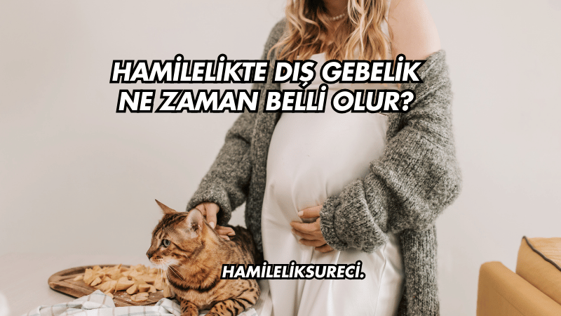 Hamilelikte Dış Gebelik Ne Zaman Belli Olur?