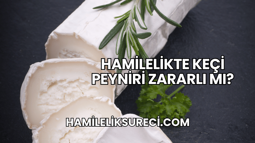 Hamilelikte Keçi Peyniri Zararlı mı?