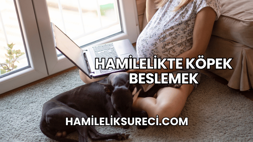 Hamilelikte Köpek Beslemek