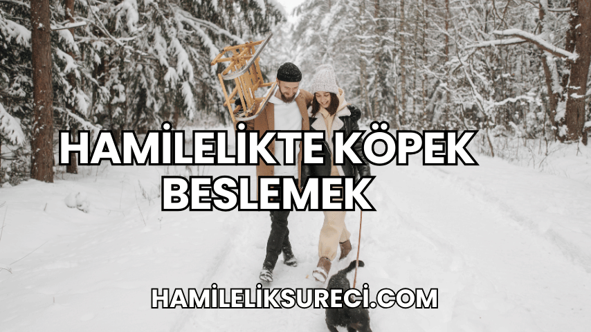 Hamilelikte Köpek Beslemek