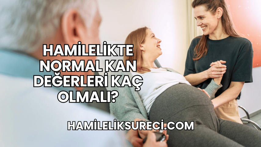 Hamilelikte Normal Kan Değerleri Kaç Olmalı?