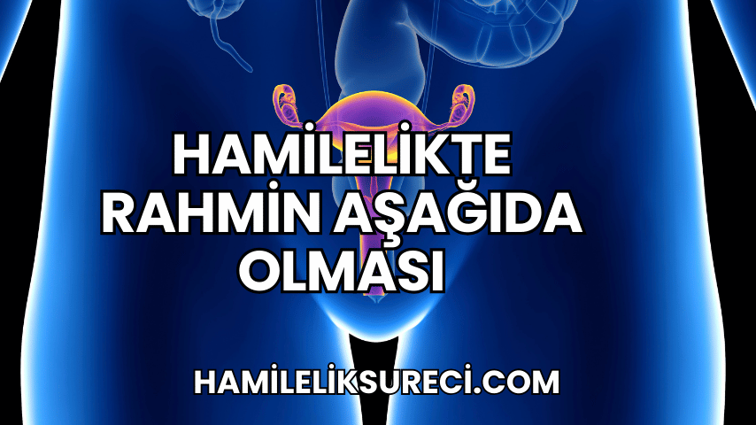 Hamilelikte Rahmin Aşağıda Olması