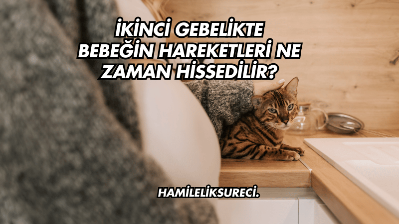 İkinci Gebelikte Bebeğin Hareketleri Ne Zaman Hissedilir?