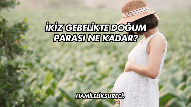 İkiz Gebelikte Doğum Parası Ne Kadar?