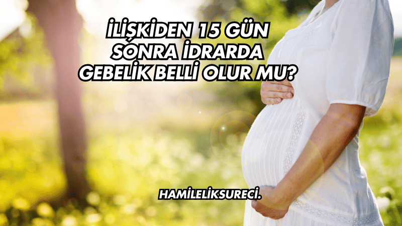 İlişkiden 15 Gün Sonra İdrarda Gebelik Belli Olur mu?