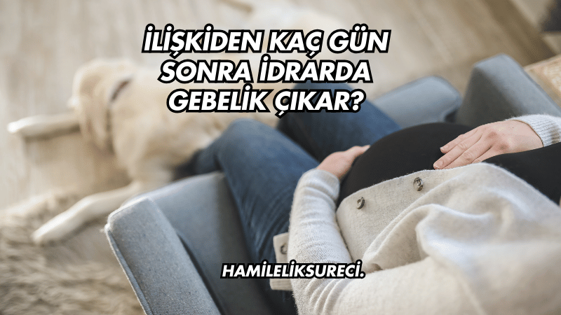 İlişkiden Kaç Gün Sonra İdrarda Gebelik Çıkar?