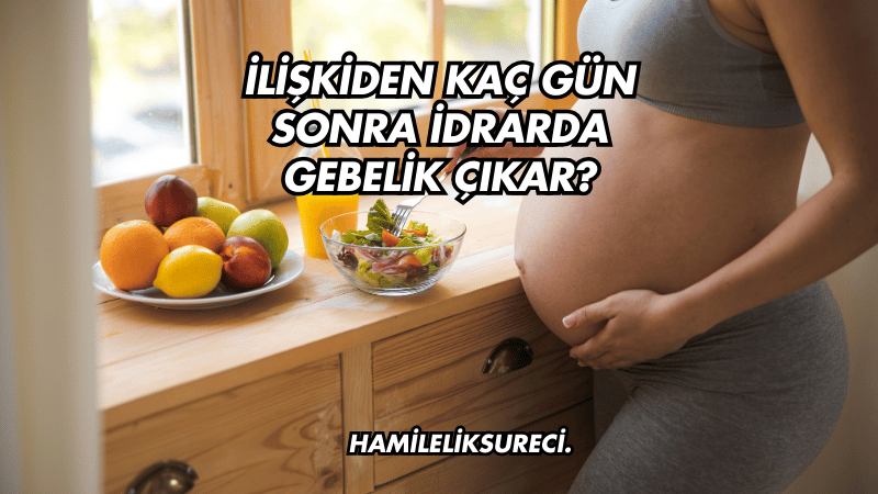 İlişkiden Kaç Gün Sonra İdrarda Gebelik Çıkar?