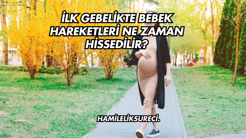 İlk Gebelikte Bebek Hareketleri Ne Zaman Hissedilir?