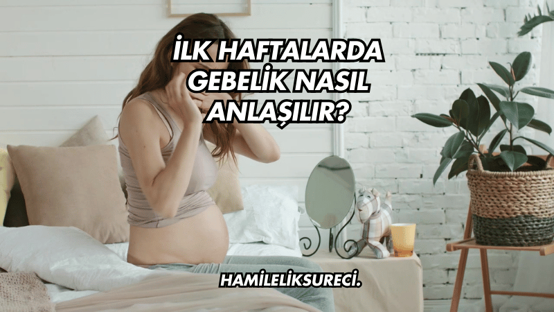 İlk Haftalarda Gebelik Nasıl Anlaşılır?