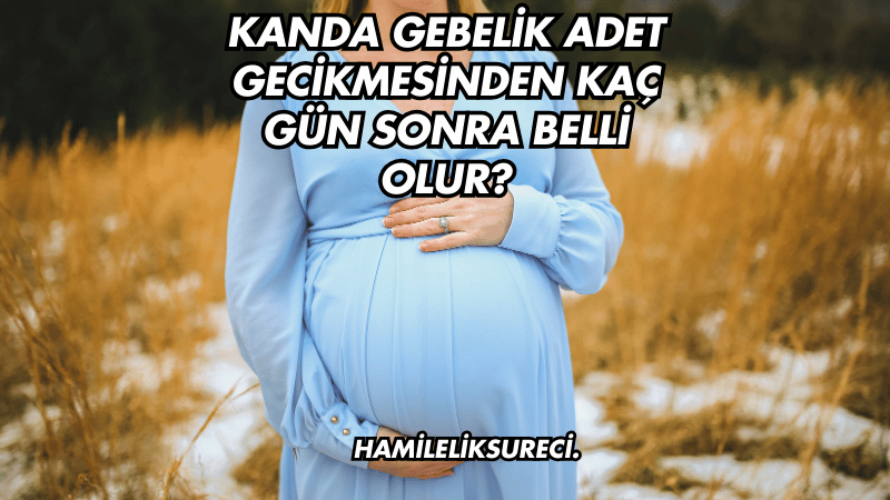 Kanda Gebelik Adet Gecikmesinden Kaç Gün Sonra Belli Olur?