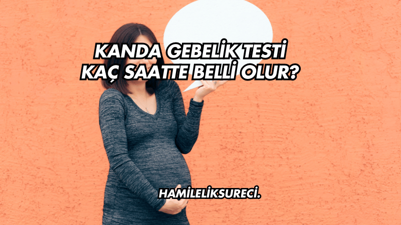 Kanda Gebelik Testi Kaç Saatte Belli Olur?