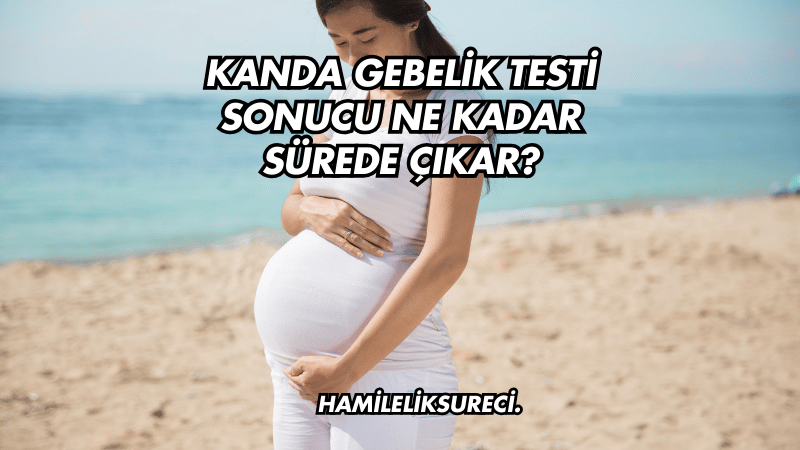 Kanda Gebelik Testi Sonucu Ne Kadar Sürede Çıkar?