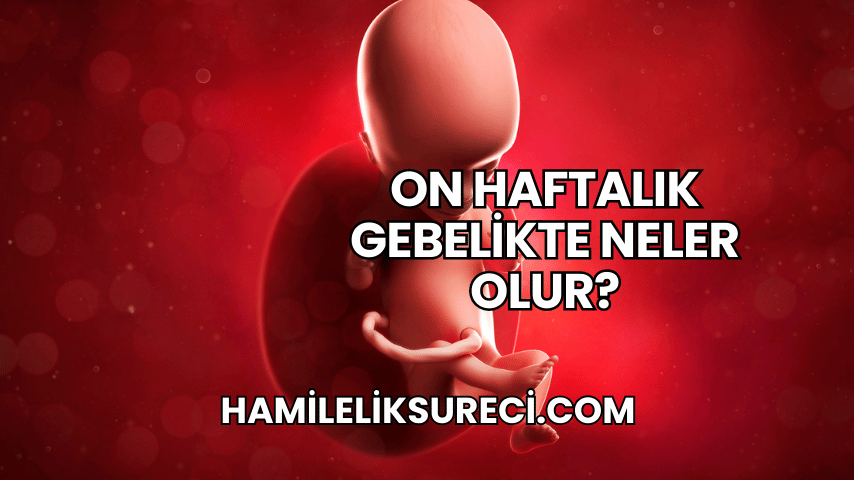 On Haftalık Gebelikte Neler Olur?