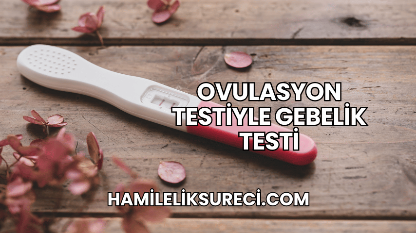 Ovulasyon Testiyle Gebelik Testi