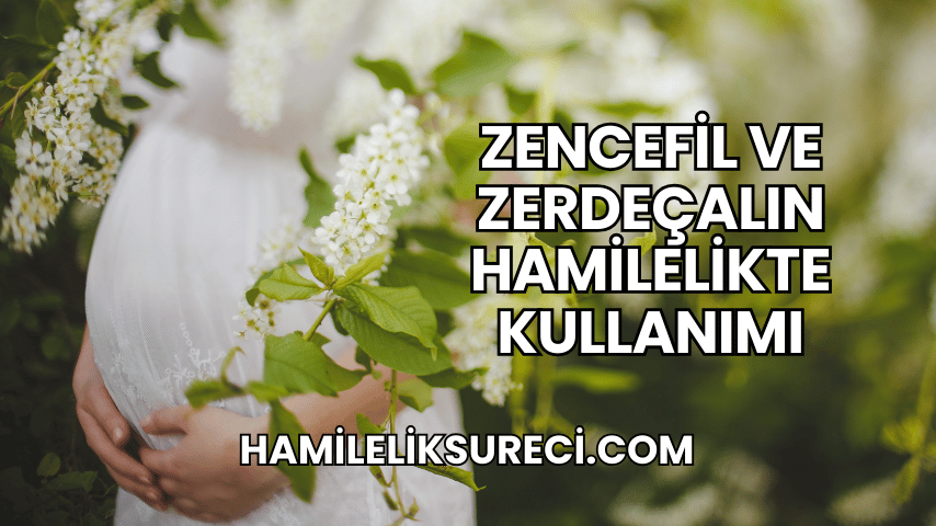 Zencefil ve Zerdeçalın Hamilelikte Kullanımı