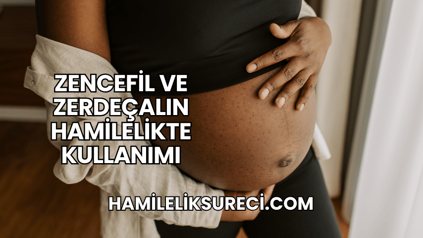 Zencefil ve Zerdeçalın Hamilelikte Kullanımı