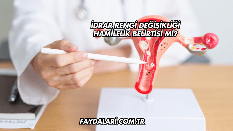 İdrar Rengi Değişikliği Hamilelik Belirtisi mi?