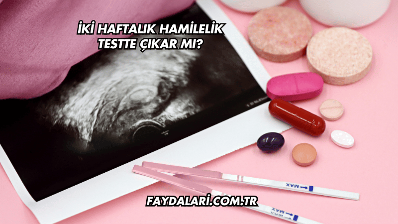 İki Haftalık Hamilelik Testte Çıkar mı?