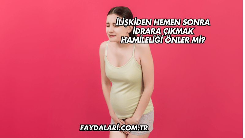 İlişkiden Hemen Sonra İdrara Çıkmak Hamileliği Önler mi?